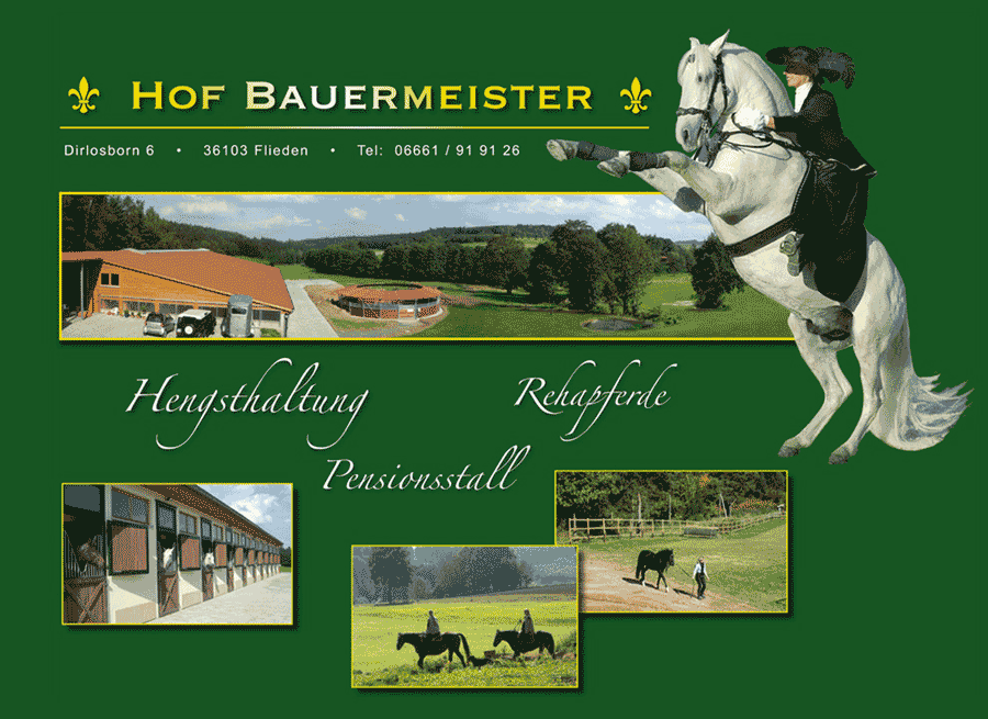 Hof Bauermeister - Hengsthaltung, Pferdepension und Rehapferde in der Rhön